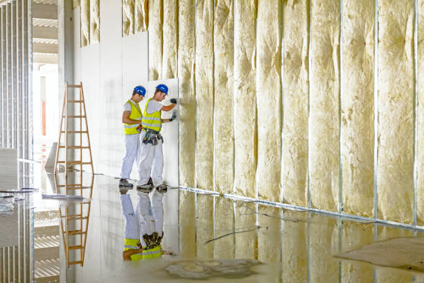 Best Insulation Installation Services in Navajo, NM